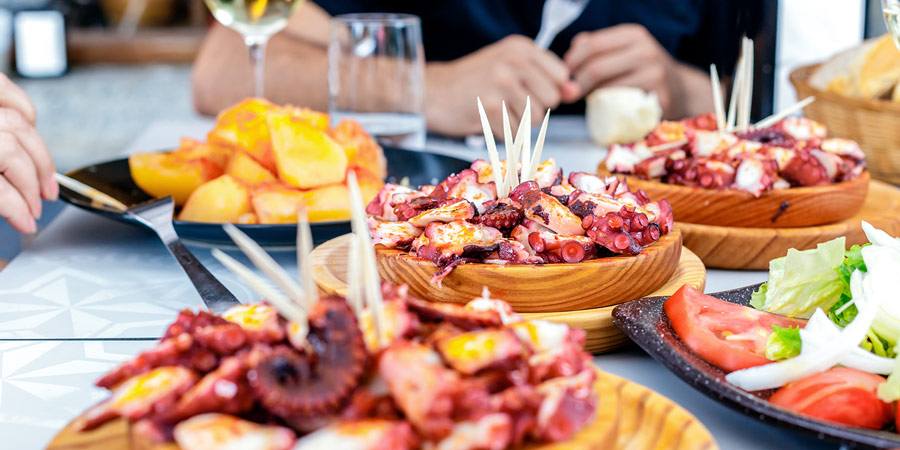 11Cuales son las propiedades del pulpo